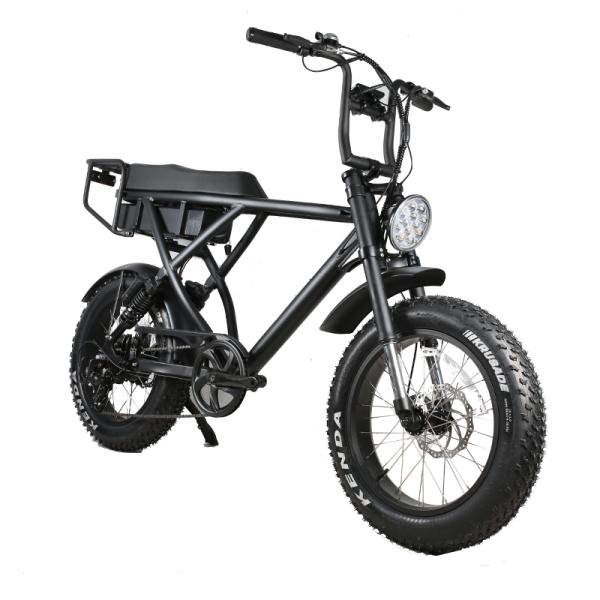 Smart Type Sensor DOMANCA 500w/750w/1000w Full Suspension Super Electric Cruiser Bikes