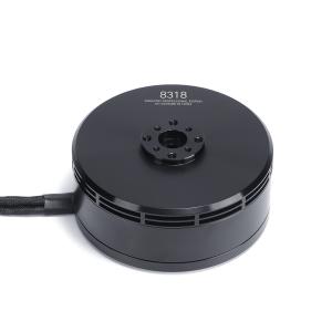 MAD 8318 IPE Brushless DC Motor