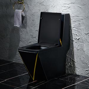 One Piece Washdown Sanitary Ware Toilet Black Gold Graphic Design