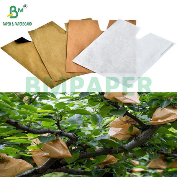 56gsm Sunscreen Tear Resistant Fruit Sleeve Paper Brown Outer Paper And Black Inner