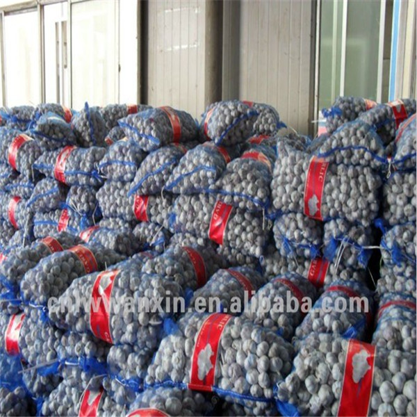 Buy GARLIC WITH MESHBAG PACKAGE at wholesale prices