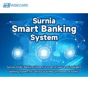 Quality Smartbanking Web Based Structure Banking Wisecard Banking System for sale