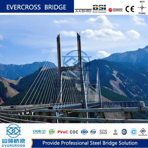 China Custom Made Cable Supported Bridge Prefabricated Steel Truss Bridge on sale