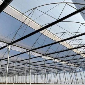 Customized Snow Vibrator Greenhouse for Tomato Planting Single or Multi Span