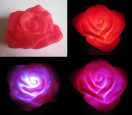 Quality miss rose for sale