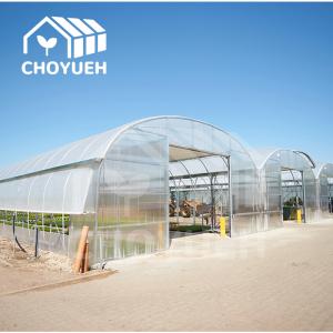 Quality Hot Dip Glavanized Steel Polytunnel Greenhouse 10X30m Single Span for sale