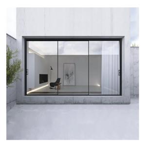 Minimalist Design Double Sliding Door SKATE's Solution for Office and Residentia