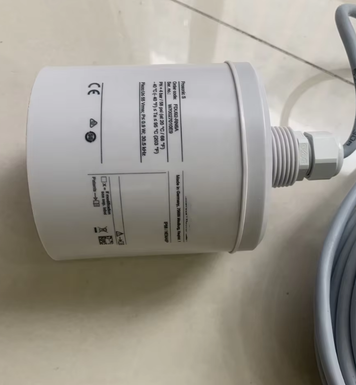 Germany Original E+H FDU92-RN62A Prosonic Ultrasonic Level Sensor