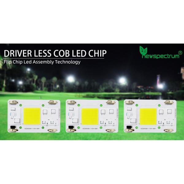 No Need Driver COB LED Grow Chip Size 50mm For Flower Seedling Plant Light