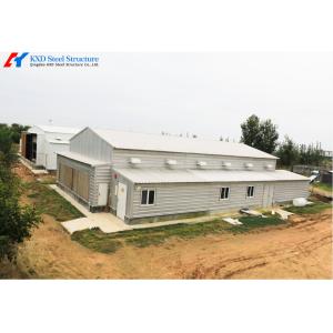 Galvanized Steel Poultry Shed for Large-Scale Chicken Farming