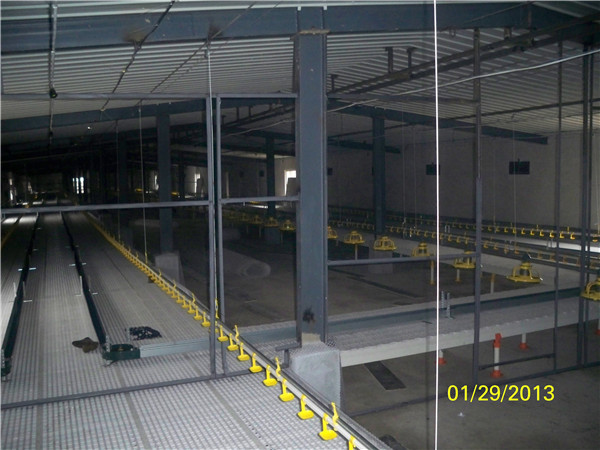 Poultry Farm Chain Trough Chicken Breeding Equipment 36m/min Conveying