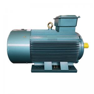 China Industrial LV Squirrel Cage Motor Induction Air Compressor Electric Motor IP55 on sale
