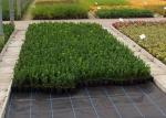 Landscape Weed Control Non Woven Fabric PP Material For Home Gardens Free