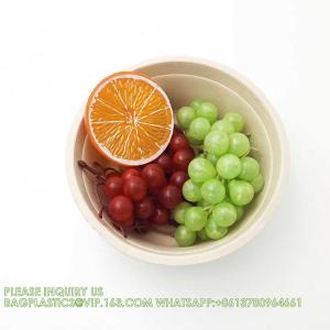 Eco Friendly Bowls 100% Compostable Disposable Biodegradable Sugarcane Bagasse