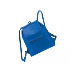 The Custom Imprinted eGreen Fold-Up Drawstring Cooler Backpack odm-l26