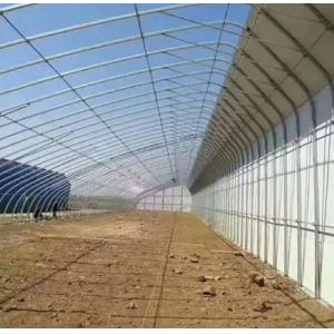 Advanced Vegetable Sunlight Greenhouse with Humidity Control and Optimal Plant