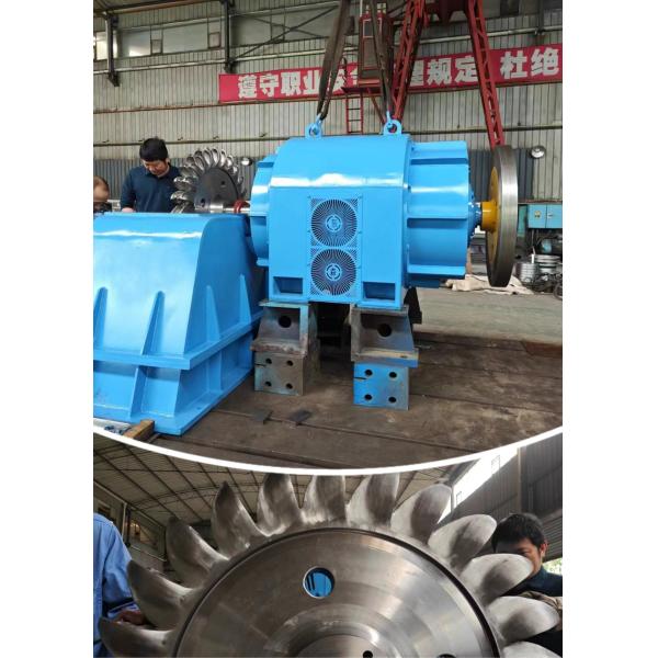Oil Cooling Pelton Turbine Generator Pelton Turbine Power Generator With Cast Iron Body