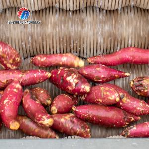 Large Medium And Small Brush potato Cleaning Machine Stainless Steel