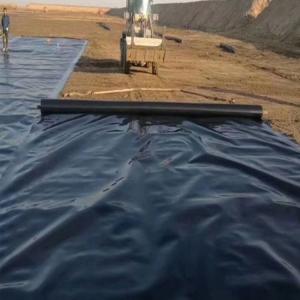 High Density Fish and Shrimp Pond Liner HDPE Geomembrane with Waterproof Function