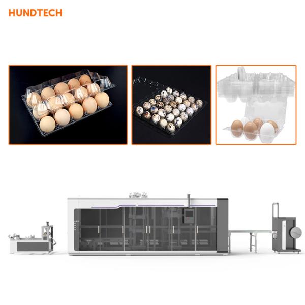 Buy Egg Containers Plastic Thermoforming Machine 3.0kw Compact at wholesale prices