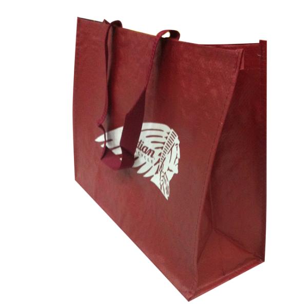 Custom OEM Fashion reusable 130grs PP woven with matte shopping bag In Europe Market