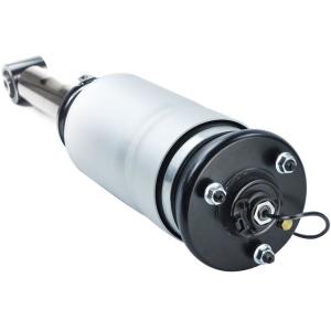 LR019993 Air Suspension Parts Air Suspension Strut