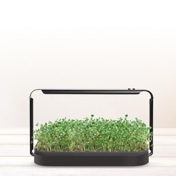 120lm/W Hydroponics Growing System 16W Tabletop Grow Lights Full Spectrum With Timer