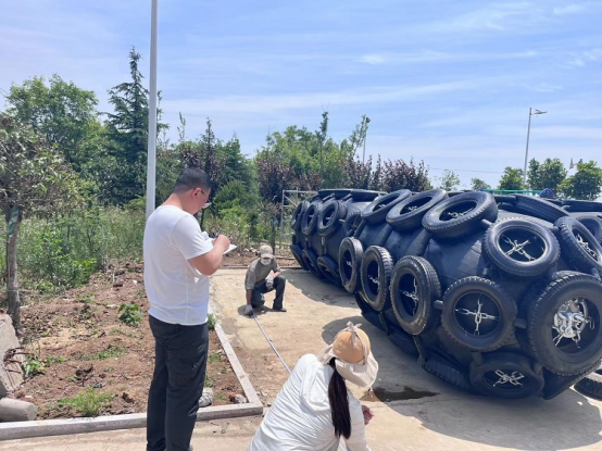 STS Yokohama Type Pneumatic Rubber Ship Bumper Fender With Chain And Tire Net