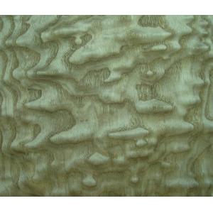 Sliced Natural Chinese Ash Burl Wood Veneer Sheet