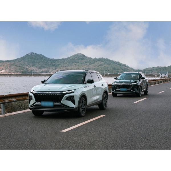 Petrol Gasoline SUV Car Electric Adjustment Exterior Rearview Mirror for 1.5T Hybrid Powe