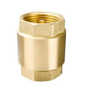 NPT 20 Bar Brass Vertical Spring Threaded Check Valve