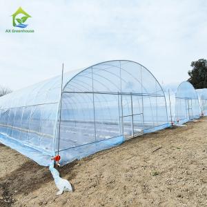 Agricultural Plastic Film Shed Poly Tunnel Vegetable Greenhouse with Cooling /