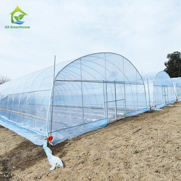 Agricultural Plastic Film Shed Poly Tunnel Vegetable Greenhouse with Cooling /