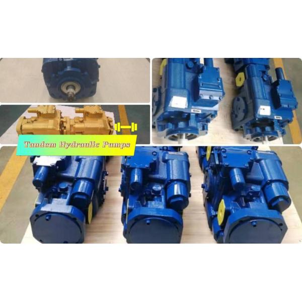 Hydraulic tandem pump manufacturer 110cc/r Tandem Hydraulic Pumps For Agricultural Machinery