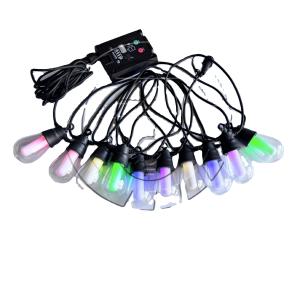 Quality Outdoor String Light Tree Lamp E26 Led Twinkle Light For Customized Length for sale