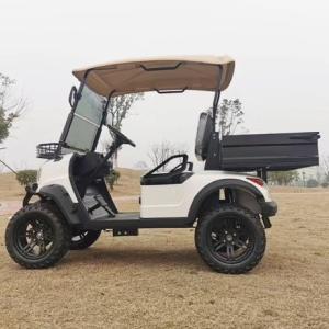 Support Customized Two-Seater Cargo Truck 4kw Aluminum Alloy Carbon Steel
