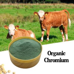 Quality 8% Chromium Amino Acid Organic Protein Animal Feed Additive Green Powder CAS7440-47-2 for sale