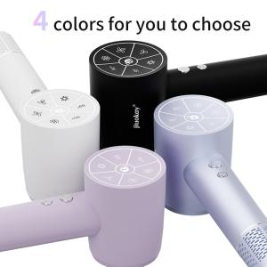 Travel 1800W High Speed Brushless Motor Hair Dryer With 110,000 Rpm And 5