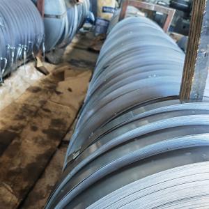 304 Hot Custom Cold Rolled Stainless Steel Coil and Strips