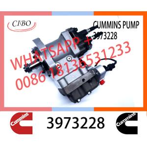 Cumminss Engine Parts QSL Diesel Fuel Injection Pump 3973228 4954200 2872191