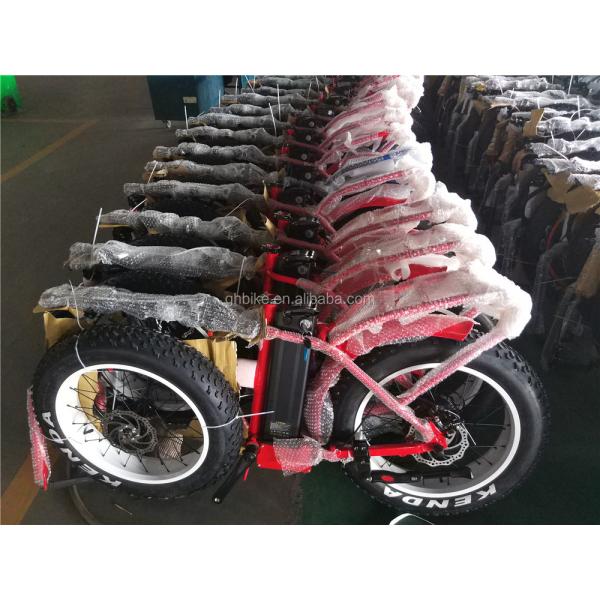 20 Inch 48V 500W 750W 1000W Electric Folding Bike with Fat Tire Max Speed 30-50Km/h