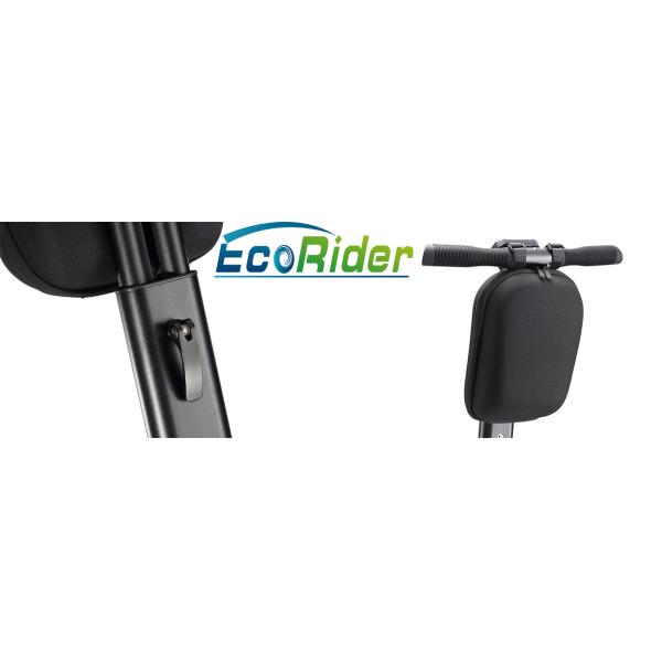 China Segway Scooter