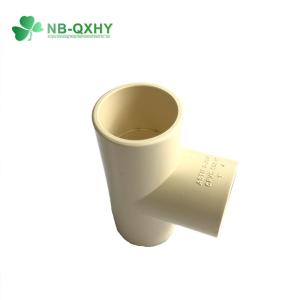 Plastic Fittings ASTM CPVC Reducing Bushing Customized Request