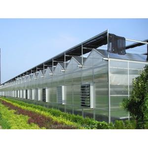 Prefab Agricultural Greenhouses with Industrial Polycarbonate Sheets and Cooling