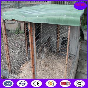 Quality PVC Coated &amp; Galvanized Chicken Hexagonal Wire Mesh for sale