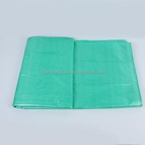 PE Scaffold Sheeting Tarp for Construction Building Wrap 500D-1500D Yarn Count