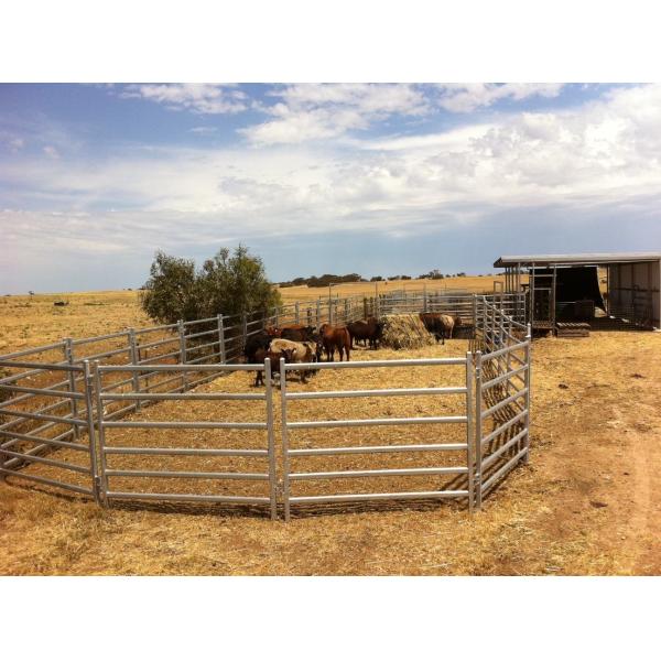 Buy Odm Portable 1.0mm Thick Heavy Duty Galvanized Corral Panels 1.8x3.37m at wholesale prices