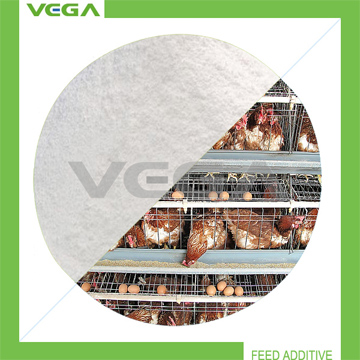 Buy Florfenicol 20% Water Soluble Powder Made in China at wholesale prices