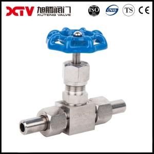 Customized Request Stainless Steel Needle Valve with Customization and BSPT