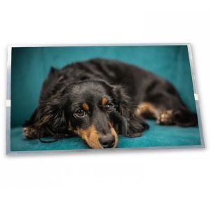 China Durable 640*480 ODM SP24V01L0ALZZ Aerospace Grade High-Resolution 9.4-Inch LCD Display Module with WLED 640x480 Resolution on sale